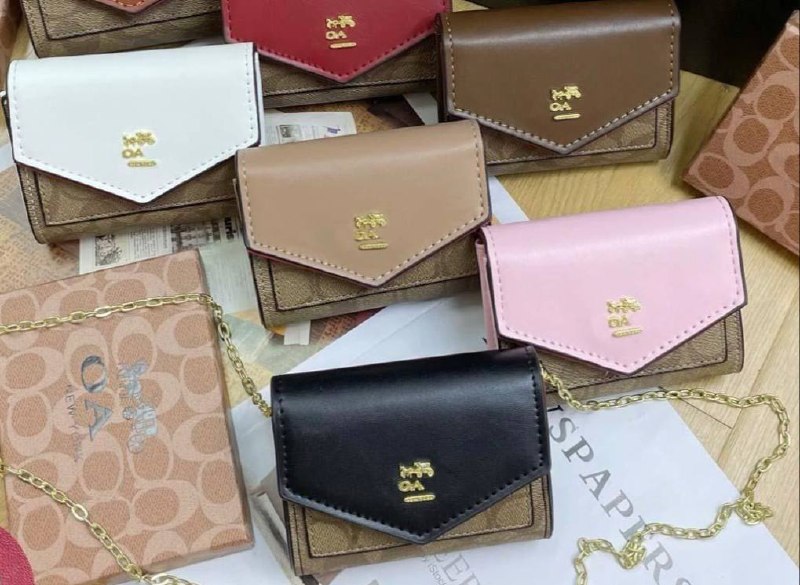 Monedero Cxach con cadena, varios colores ✨