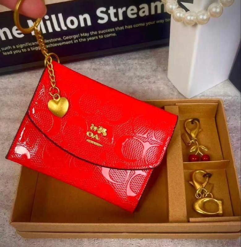 Cxach monedero con charms ✨