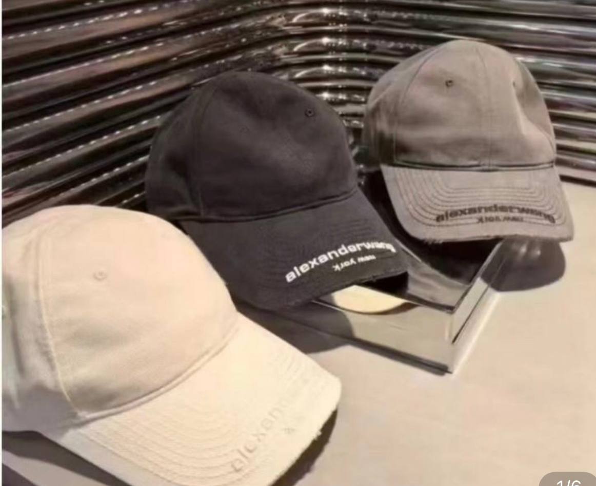 Gorra Alexander Wang ✨