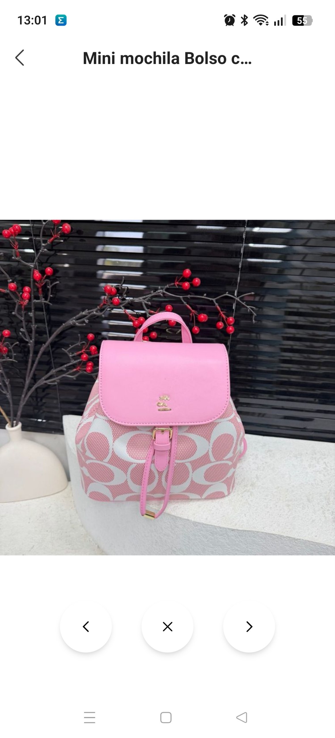 Mochila mini Coach ✨💫. 23€ ✨