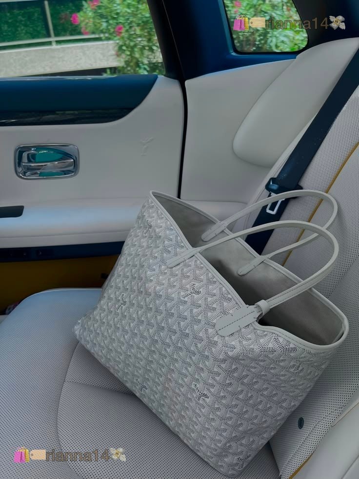 Goyard Saint Louis - Tote Bolso ✨