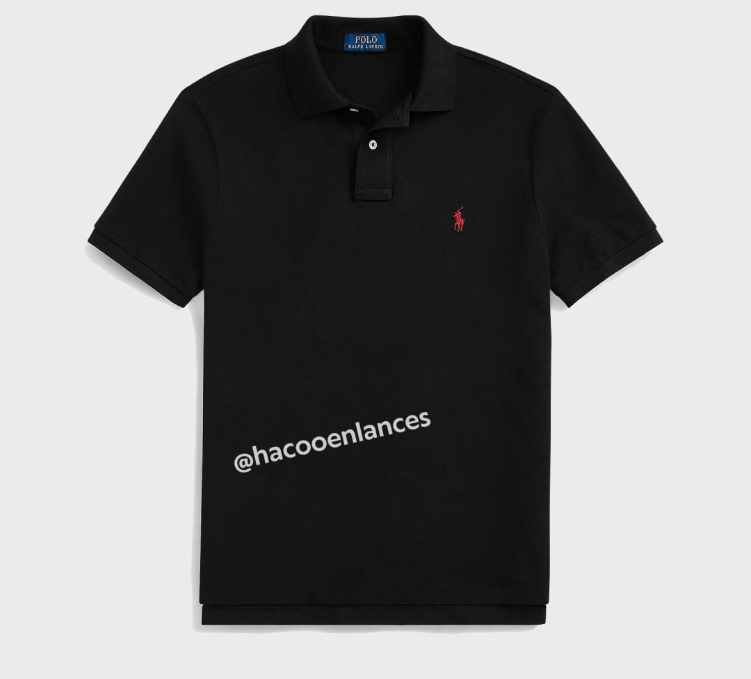 Camiseta Polo Ralph Lauren (11€💰)(muchos colores🌈):
